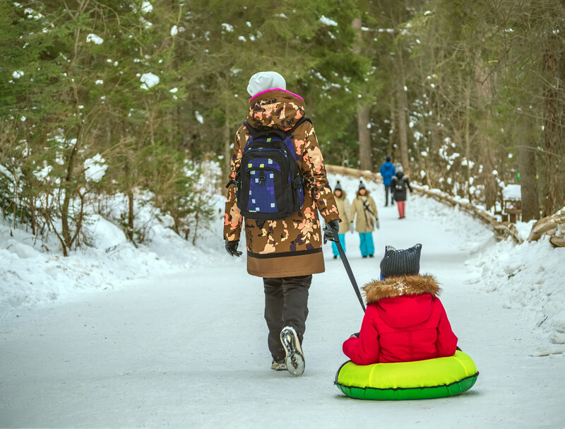 people playing in the snow with tall trees surrounding them